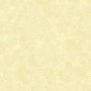 Spraytime Fabric | Light Cream