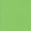 Moda Fabric Bella Solids | Kiwi