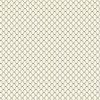 Midnight Haunt Halloween Fabric | Haunted Check Parchment
