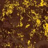 Metallic Studio Blender Fabric | Dark Brown