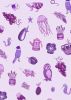 Lewis & Irene Jennie Maizels Colour Collection | Jennies Purples