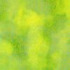 Robert Kaufman Fabric | Chromaticity Pear