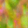 Robert Kaufman Fabric | Chromaticity Tropical