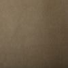 FR Leathercloth Fabric | Beige