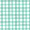 Berkshire Yarn Dyed Cotton Gingham Fabric, 17mm | Mint