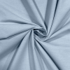 Berkshire Plain Yarn Dyed Chambray | Pale-Blue