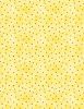 Squeeze Of The Day | Seeds Yellow