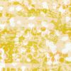 Robert Kaufman Fabric | Prairie Song Wide Yellow