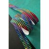 Sassafras Lane Zipper #5, 3 Yards | Wide Rainbow Stripe Tape, Iridescent Teeth