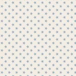 Tilda Classics Fabric | Tiny Star Light Blue