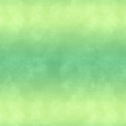 Washart Ombre Fabric | Cactus