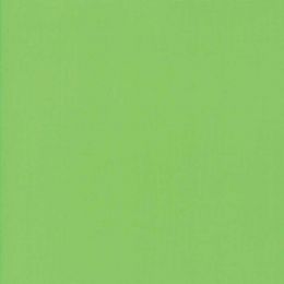Moda Fabric Bella Solids | Kiwi