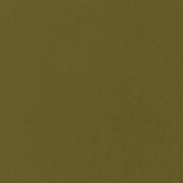 Moda Fabric Bella Solids | Pickle
