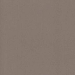Moda Fabric Bella Solids | Elephant