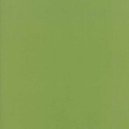 Moda Fabric Bella Solids | Fern