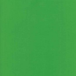 Moda Fabric Bella Solids | Shamrock