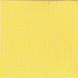 Berkshire Yarn Dyed Cotton Gingham Fabric, 3mm | Yellow