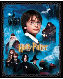 Harry Potter Fabric Panel