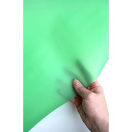 Sassafras Lane Jelly Vinyl Fabric | Green