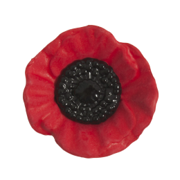 Poppy Buttons | Shank, 41mm - 5pcs