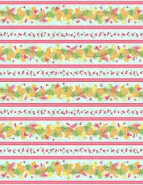 Squeeze Of The Day | Repeating Stripe