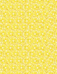 Squeeze Of The Day | Citrus Slices Yellow