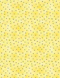 Squeeze Of The Day | Seeds Yellow