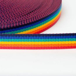 Classic Webbing 50mm | Pride (6 colour)