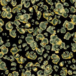 Viscose Twill Fabric | Abstract Black