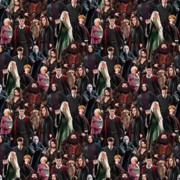 Harry Potter Fabric - Extra Wide | Characters Multi